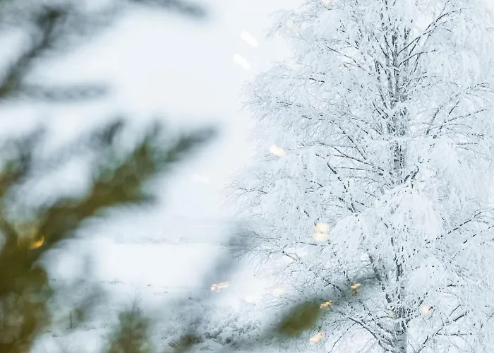 Villa Arctic Riverside House - Modern & Scenic Views Rovaniemi